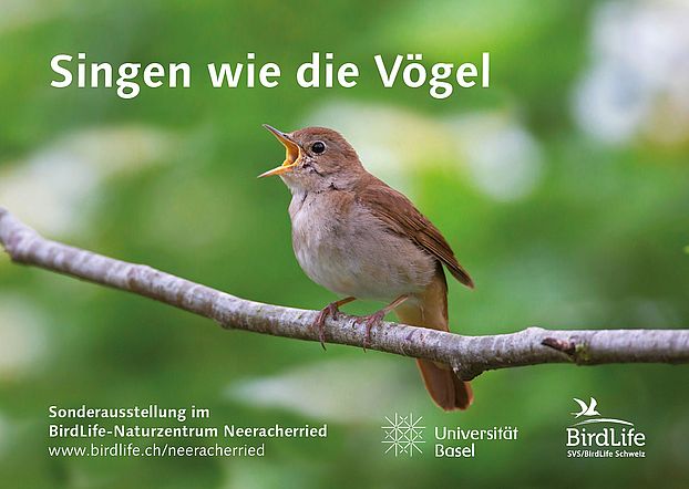 Singen wie die Vögel